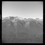 Cover image of Gondola Display, Negatives, 1959