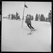 Cover image of Skiing Bow Summit, 1963 - 1964
