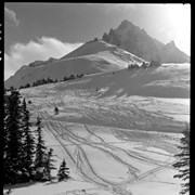 Cover image of Skiing Bow Summit, 1963 - 1964