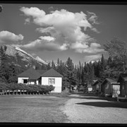 Cover image of Bow River Bungalows, 1964