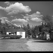 Cover image of Bow River Bungalows, 1964