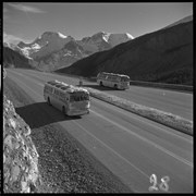 Cover image of Brewster Trans. [Transport] Co. [Company], 1971