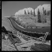 Cover image of Calgary Power Co. [Company], 1954