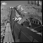 Cover image of Calgary Power Co. [Company], 1954