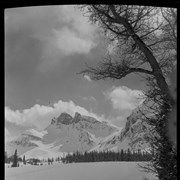 Cover image of Mt. [Mount] Assiniboine, Valley of the Rocks, April 1956