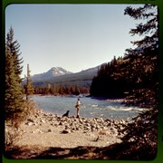 Cover image of Lake Louise Bungalows, Bud Gourlay, 1958