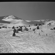 Cover image of Marmot Basin, Jasper, 1954