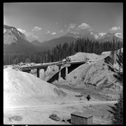 Cover image of T.C.H. [Trans Canada Highway]