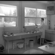 Cover image of Govt. [Government] Soil Lab, 1959