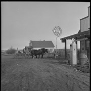 Cover image of Drayton Valley, 1953