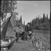 Cover image of Grizzy Bear Hunt, ABC - TV [Television], Sept. 1965, Bow Hunter - Fred Bear, Guides - Jack Lee, Bill Love