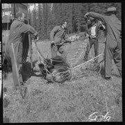 Cover image of Grizzy Bear Hunt, ABC - TV [Television], Sept. 1965, Bow Hunter - Fred Bear, Guides - Jack Lee, Bill Love