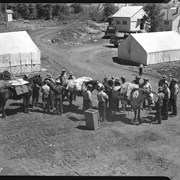 Cover image of Warden Training Camp, Cuthead, Horse Packing Training, 1955
