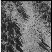 Cover image of Truck tracks: Sunshine Meadows BNP