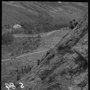 Cover image of Warden Training School Cuthead Camp June 1956|Cuthead Training Camp Cascade Valley 1956