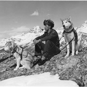 Cover image of Jack Wooledge dog team, Bow Summit 1968