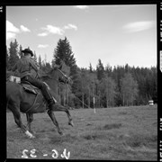 Cover image of Annual Horse Gymkana, Hilsdale [Hillsdale] Sept. 10- 1966