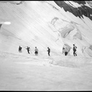 Cover image of 322. Ascending Abbot Pass (ACC)