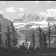 Cover image of 181. Mount Fay (ACC?)
