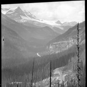 Cover image of 244. Yoho Valley (ACC?)
