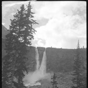 Cover image of 525. Twin Falls (ACC?)