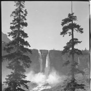 Cover image of Twin Falls, ACC