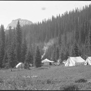 Cover image of Yoho Valley camp near Takakkaw