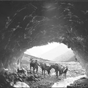 Cover image of Ice cave, Horsethief Glacer (Starbird Glacier), Freeman's party in entrance