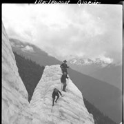 Cover image of Climbing seracs on Illecillewaet Glacier