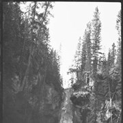 Cover image of Trip with Sibbald over Simpson Pass, down Red Earth Creek to Bow