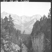 Cover image of Trip with Sibbald over Simpson Pass, down Red Earth Creek to Bow