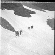 Cover image of Trail Hikers