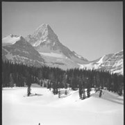 Cover image of Mount Assiniboine, winter, skier