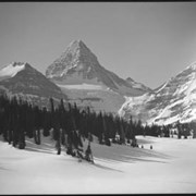 Cover image of Assiniboine, skiing