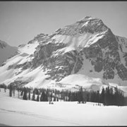 Cover image of Assiniboine, skiing