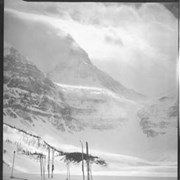 Cover image of Assiniboine, skiing