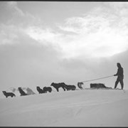 Cover image of Assiniboine, dog team