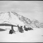 Cover image of Assiniboine, dog team