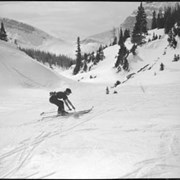 Cover image of Skoki, skiing