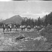 Cover image of 601. Packtrain at Bow Lake