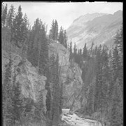Cover image of 296. Moose Canyon