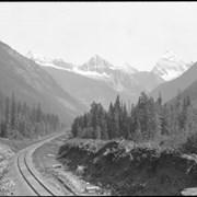 Cover image of C.P.R., Glacier Park, Sir Donald