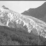 Cover image of 30. Illecillewaet Glacier