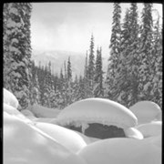 Cover image of 843. Trip to Glacier with Pepper, snow formations