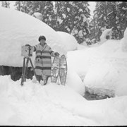 Cover image of Pepper's dog team, Glacier, Byron Harmon with camera and snowshoes