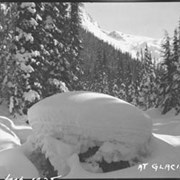 Cover image of Pepper's dog team, Glacier