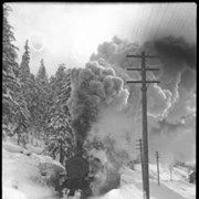 Cover image of Pepper trip, Glacier, train
