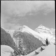 Cover image of Pepper's dog team, Glacier