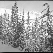 Cover image of 32. Glacier winter scenes