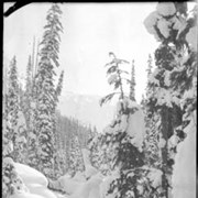 Cover image of 32. Glacier winter scenes